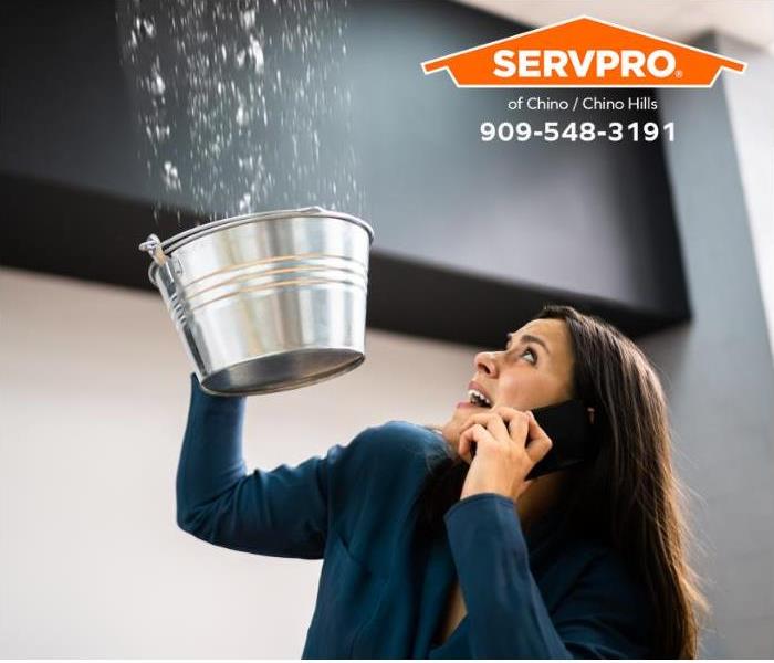 A person holds a bucket to catch water falling from a leaking pipe in the ceiling.